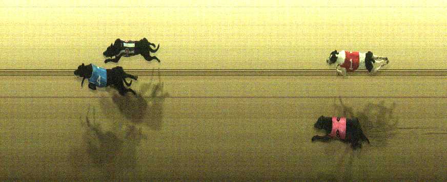 Photo finish for Cranbourne Race 9