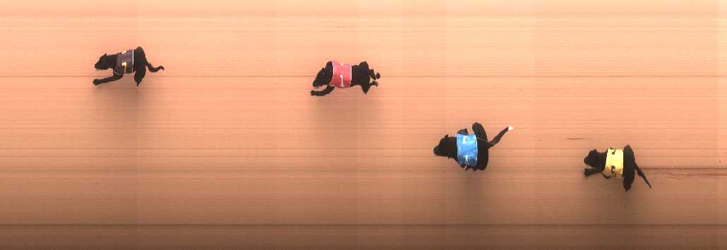 Photo finish for Cranbourne Race 2