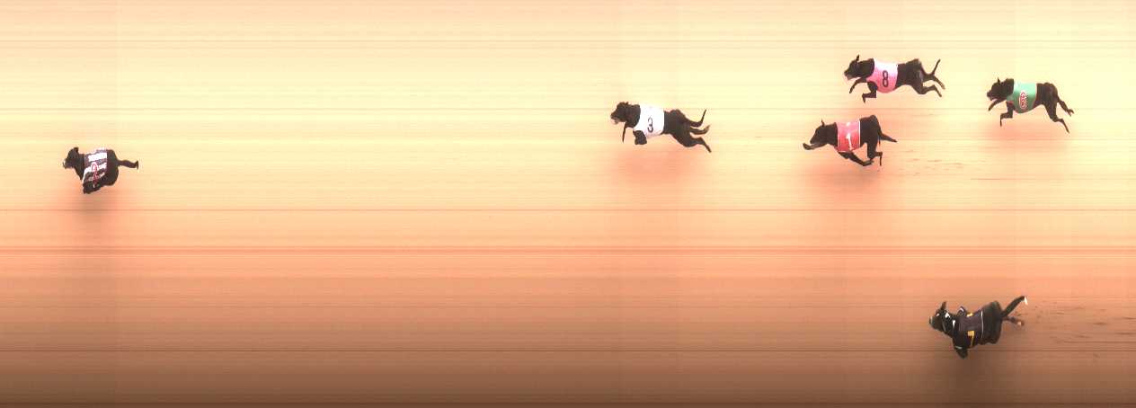 Photo finish for Cranbourne Race 4