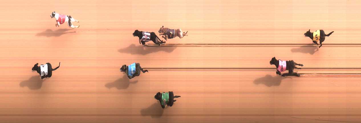 Photo finish for Cranbourne Race 5