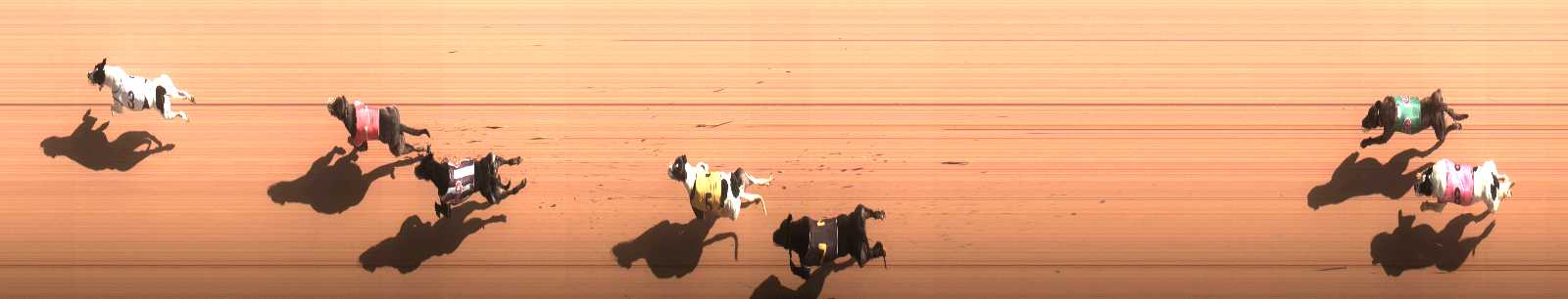 Photo finish for Cranbourne Race 6