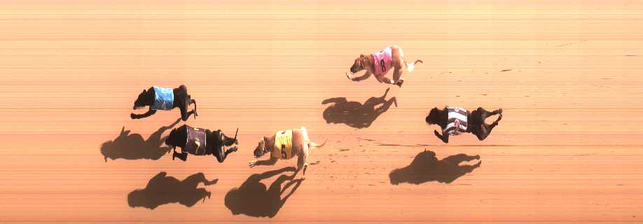 Photo finish for Cranbourne Race 7