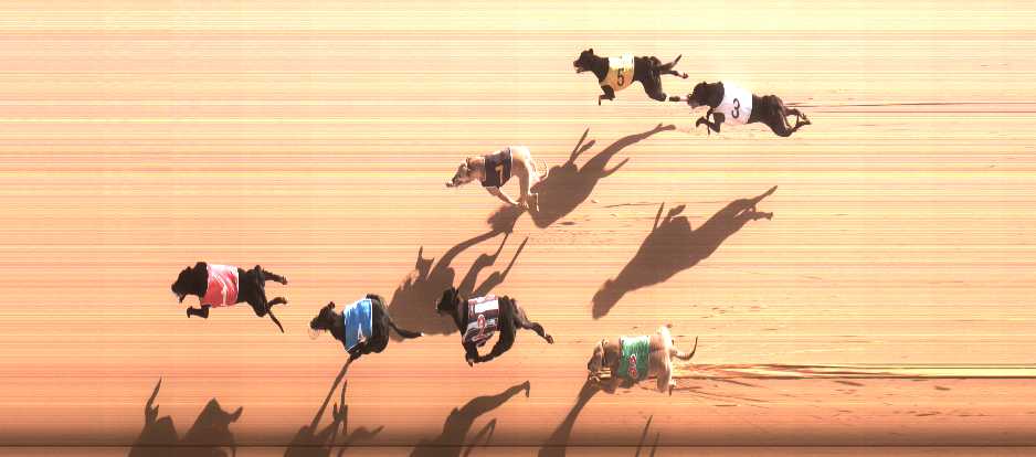 Photo finish for Cranbourne Race 11