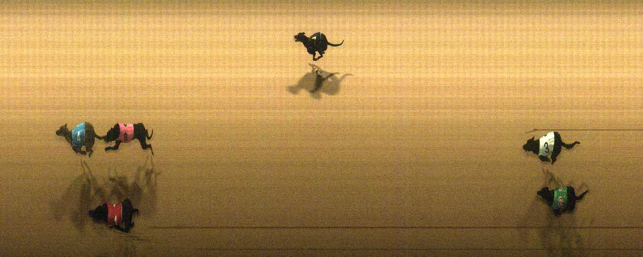 Photo finish for Cranbourne Race 2