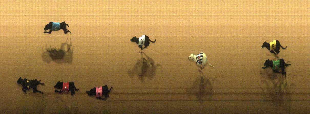 Photo finish for Cranbourne Race 3