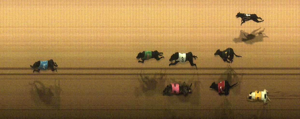 Photo finish for Cranbourne Race 5