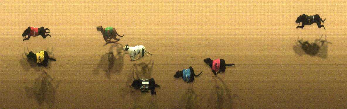 Photo finish for Cranbourne Race 9