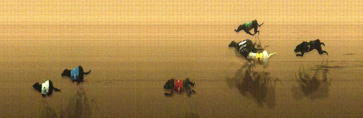 Photo finish for Cranbourne Race 10