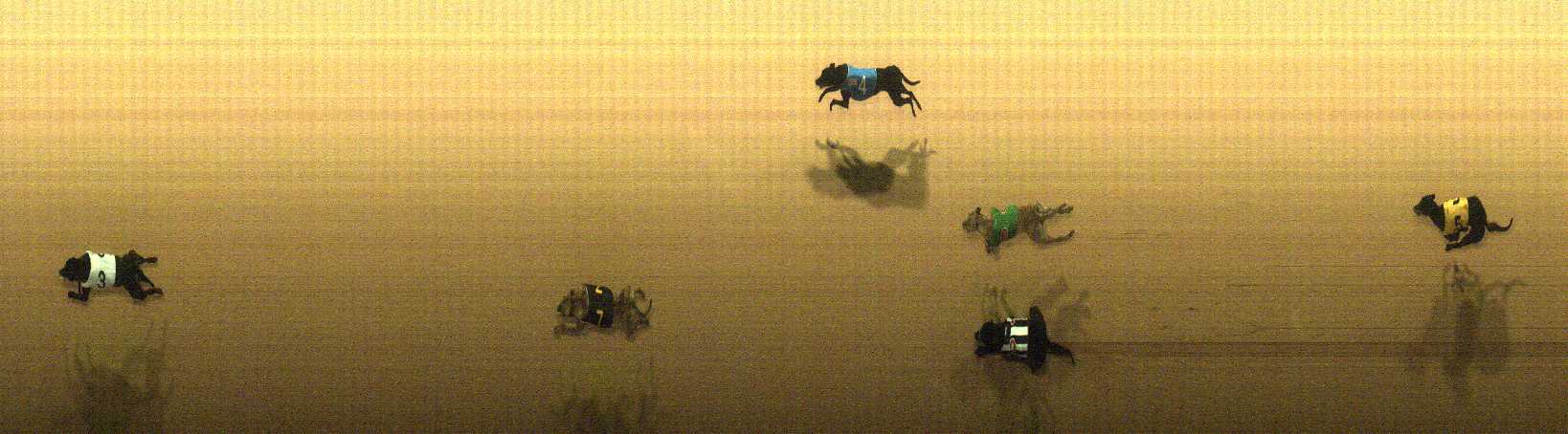 Photo finish for Cranbourne Race 3