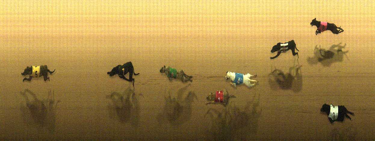Photo finish for Cranbourne Race 4