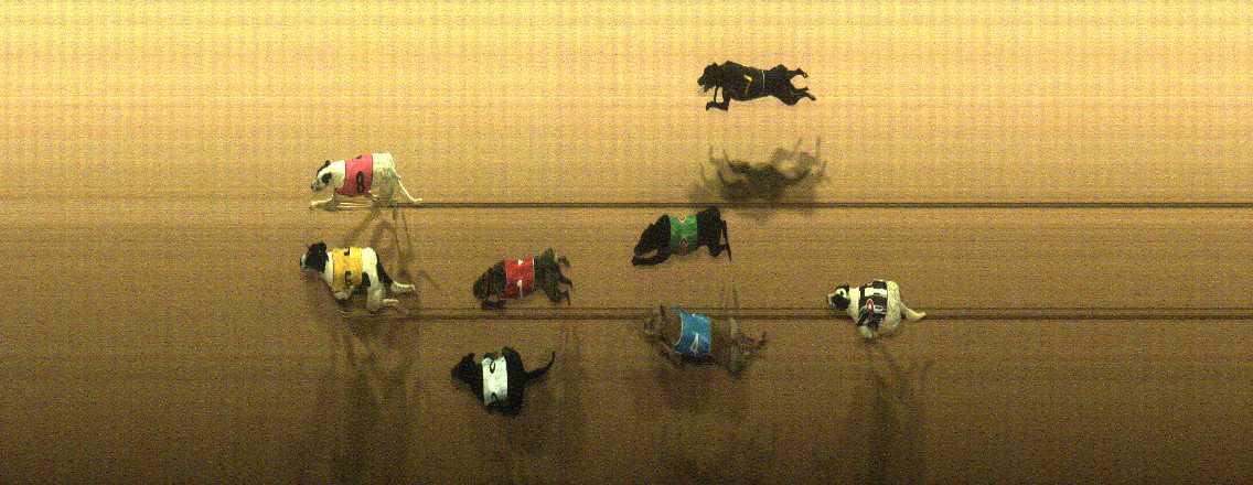 Photo finish for Cranbourne Race 9