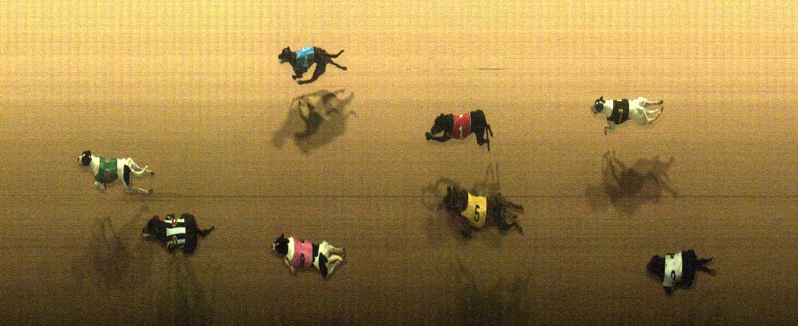 Photo finish for Cranbourne Race 12