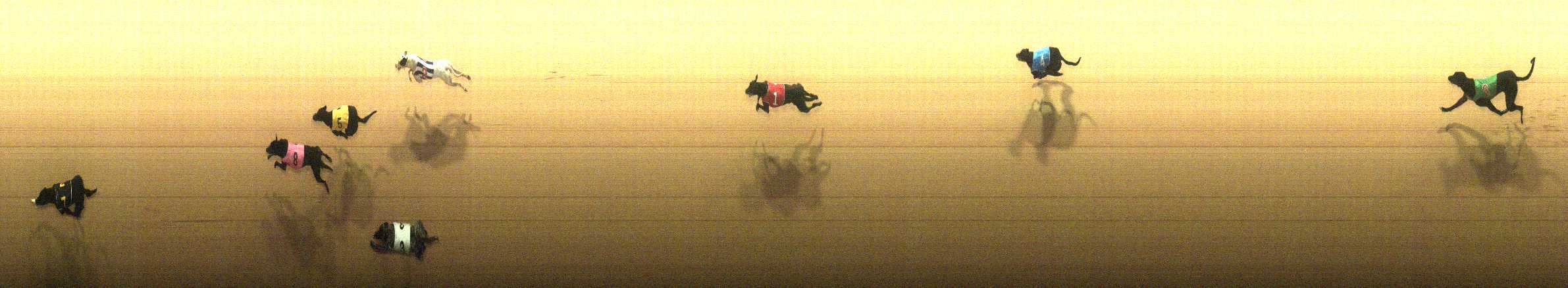 Photo finish for Cranbourne Race 2