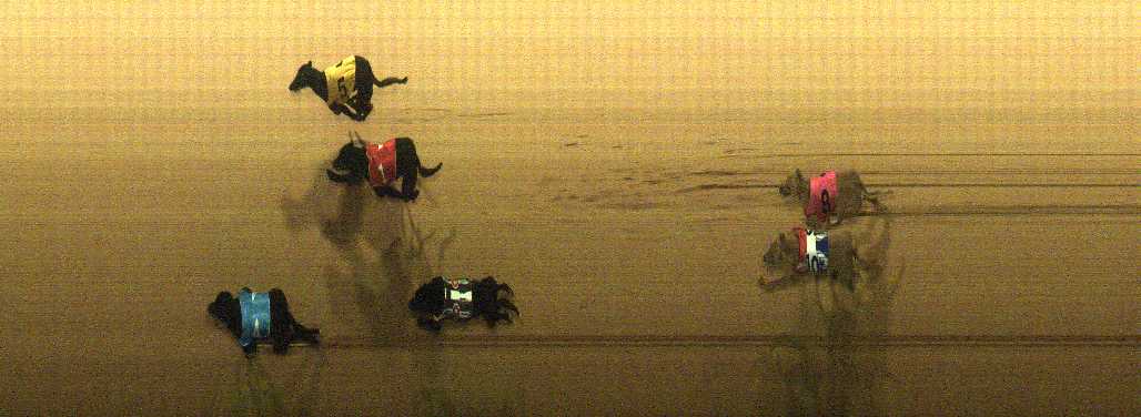 Photo finish for Cranbourne Race 4