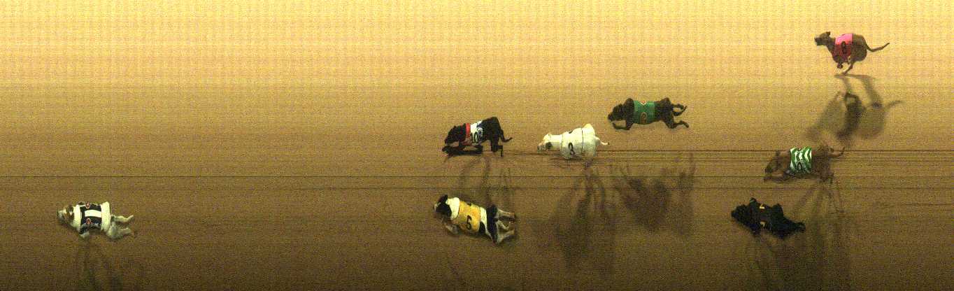 Photo finish for Cranbourne Race 7