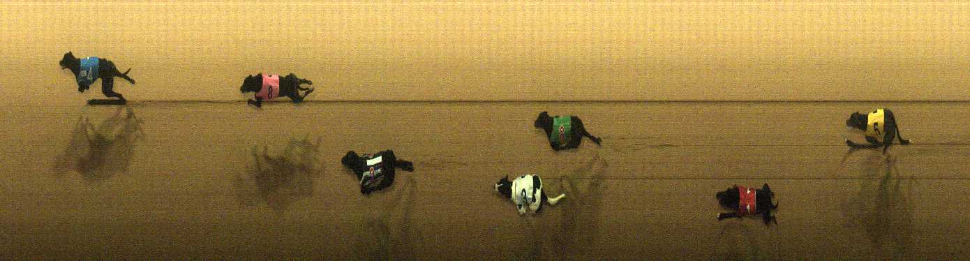 Photo finish for Cranbourne Race 11