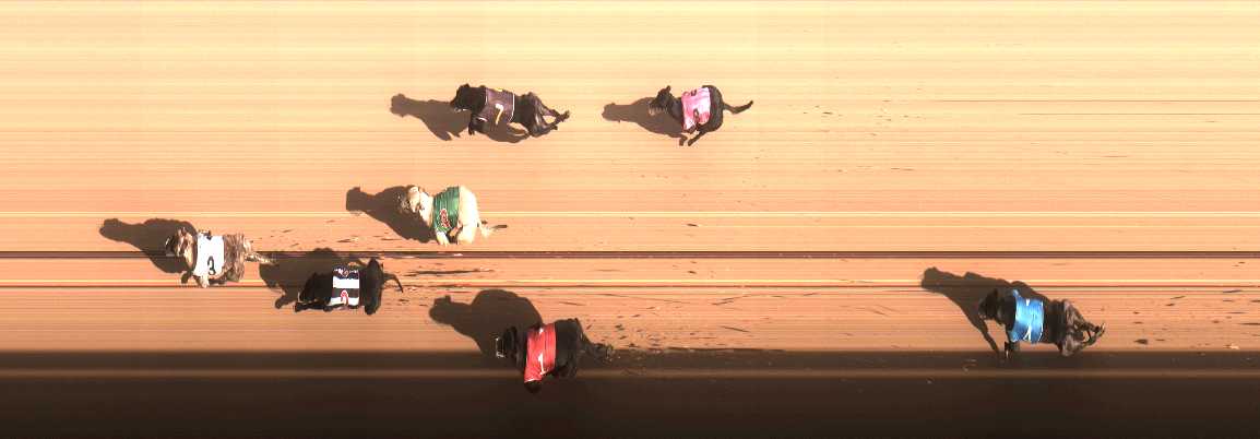 Photo finish for Cranbourne Race 3