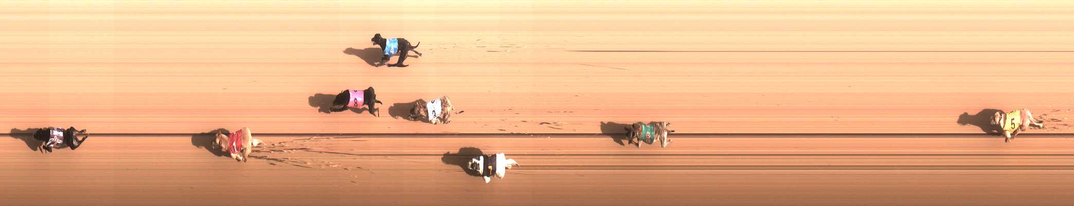 Photo finish for Cranbourne Race 4