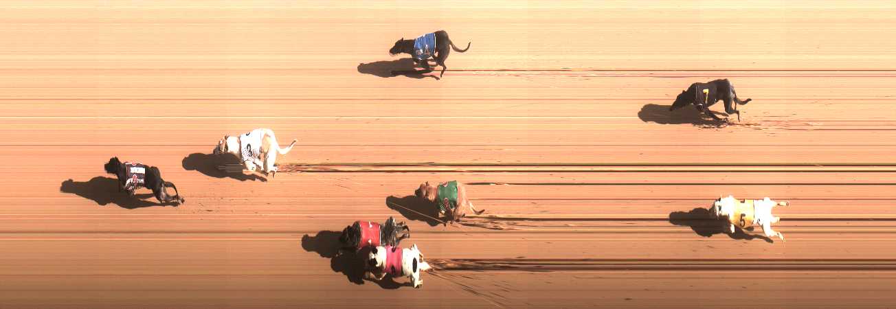 Photo finish for Cranbourne Race 6
