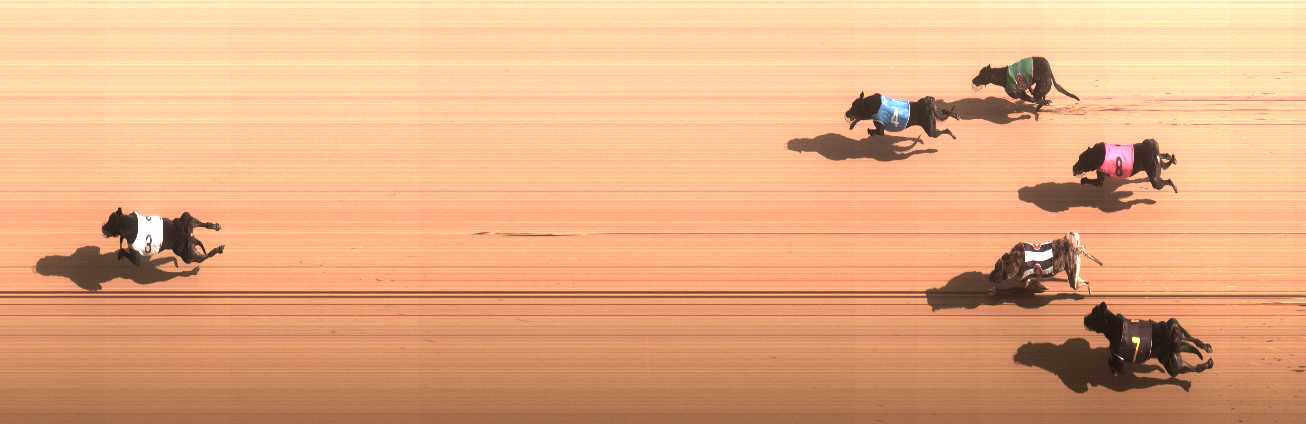 Photo finish for Cranbourne Race 7