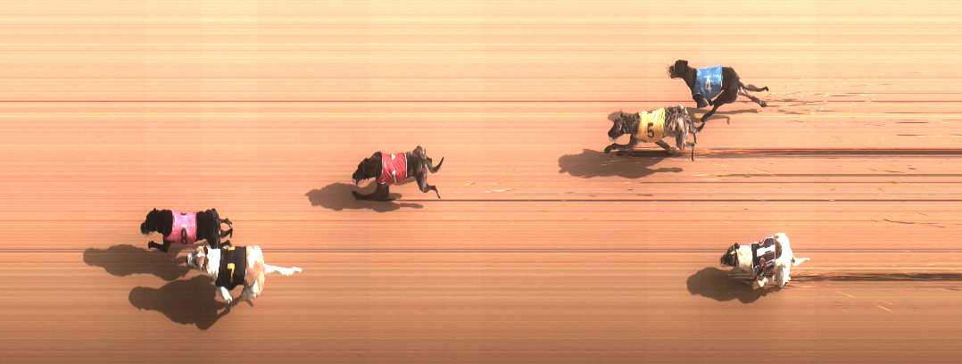 Photo finish for Cranbourne Race 8