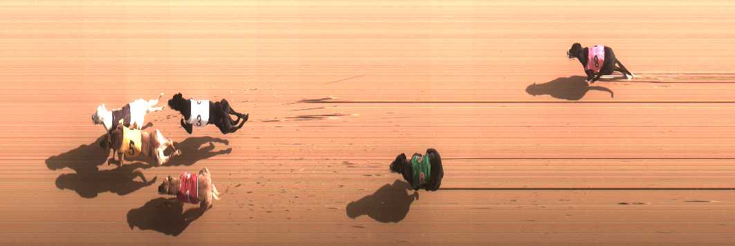 Photo finish for Cranbourne Race 9