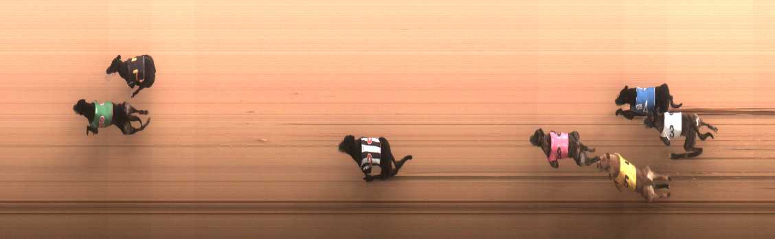 Photo finish for Cranbourne Race 12