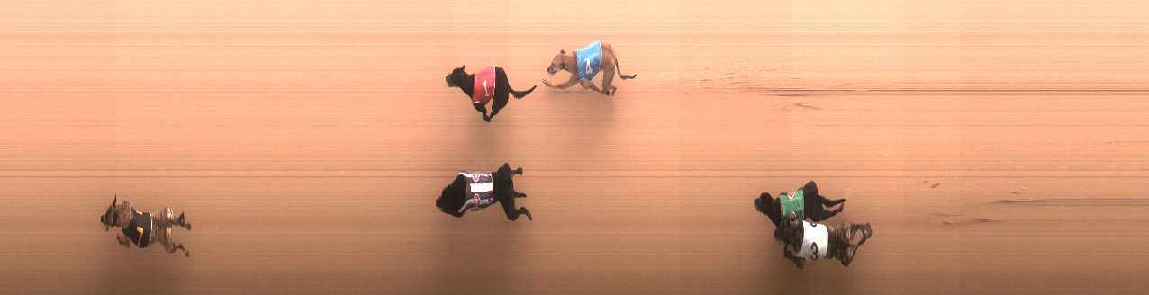 Photo finish for Cranbourne Race 3