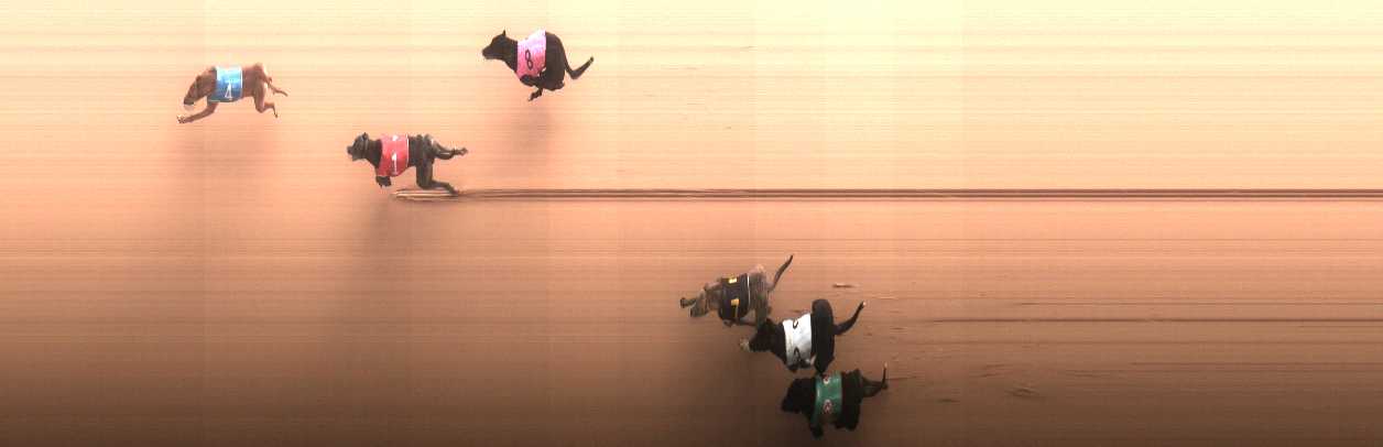 Photo finish for Cranbourne Race 5