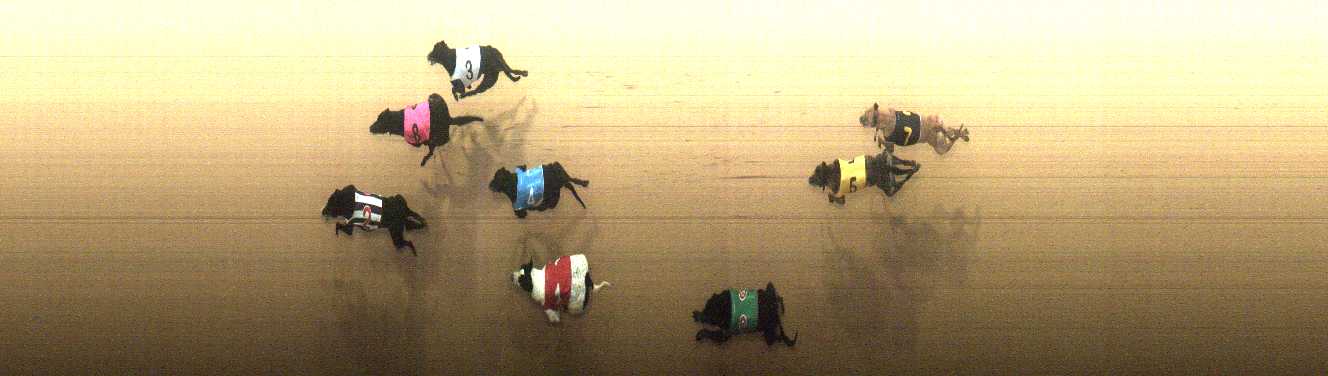 Photo finish for Cranbourne Race 9