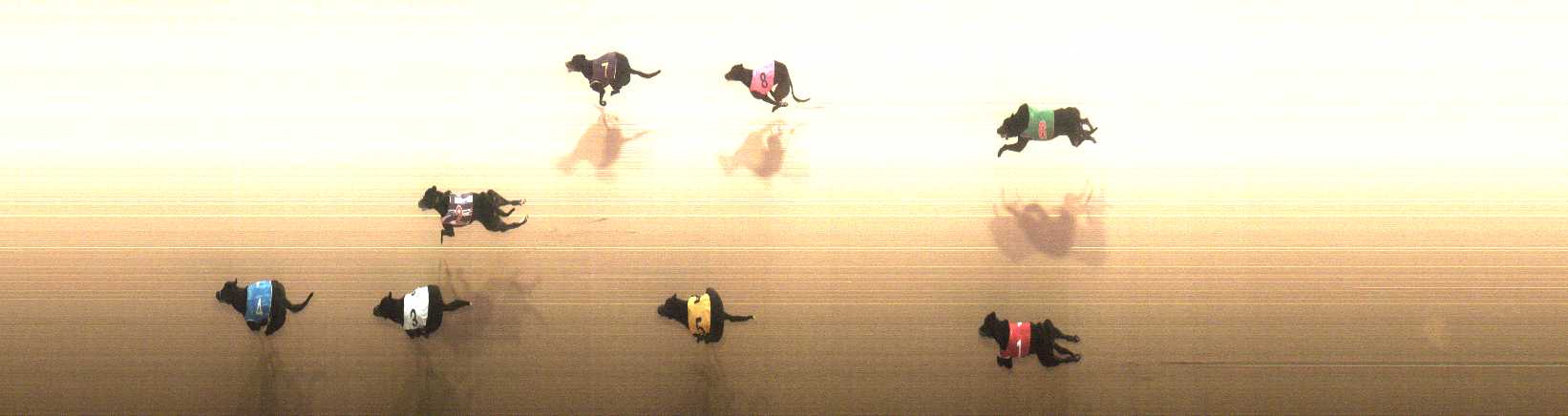 Photo finish for Cranbourne Race 10