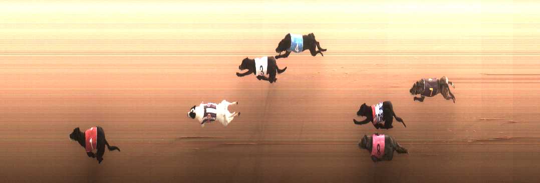 Photo finish for Cranbourne Race 6