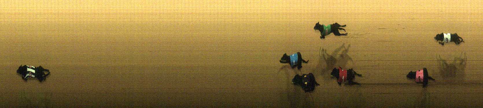 Photo finish for Cranbourne Race 12