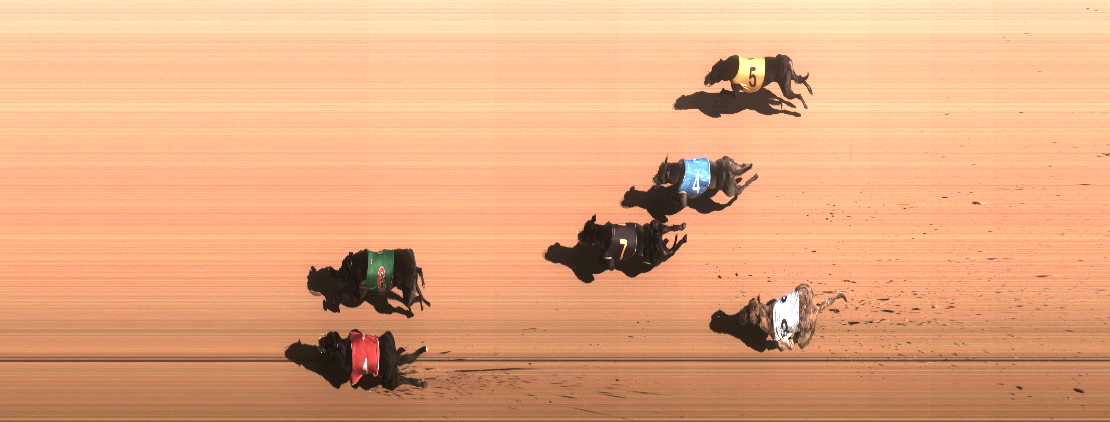Photo finish for Cranbourne Race 3