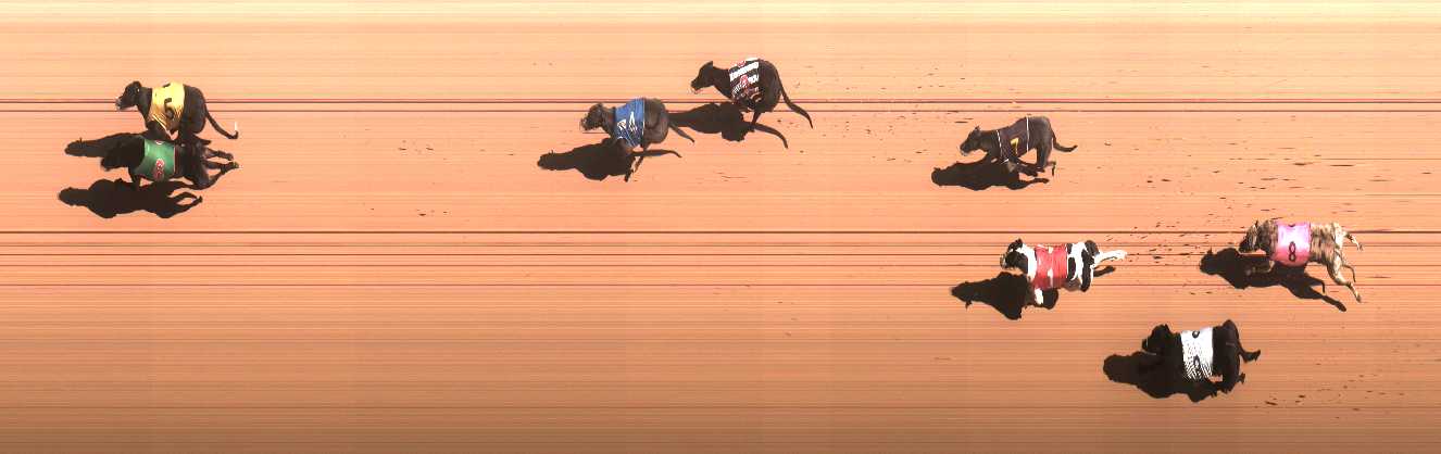Photo finish for Cranbourne Race 4