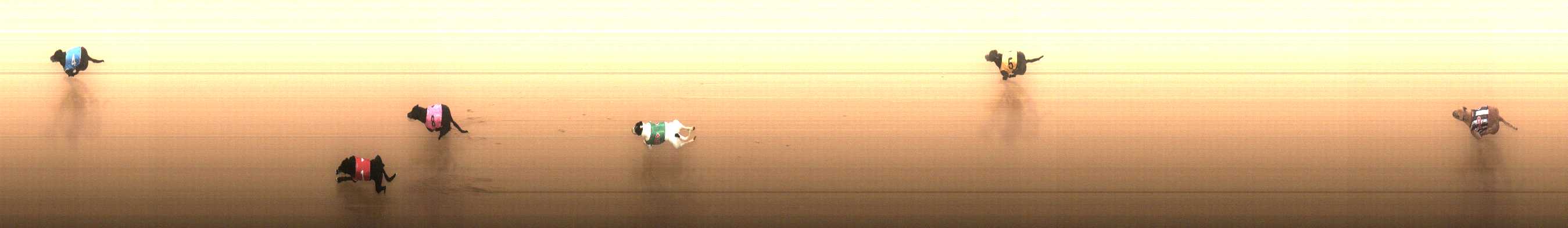 Photo finish for Cranbourne Race 3