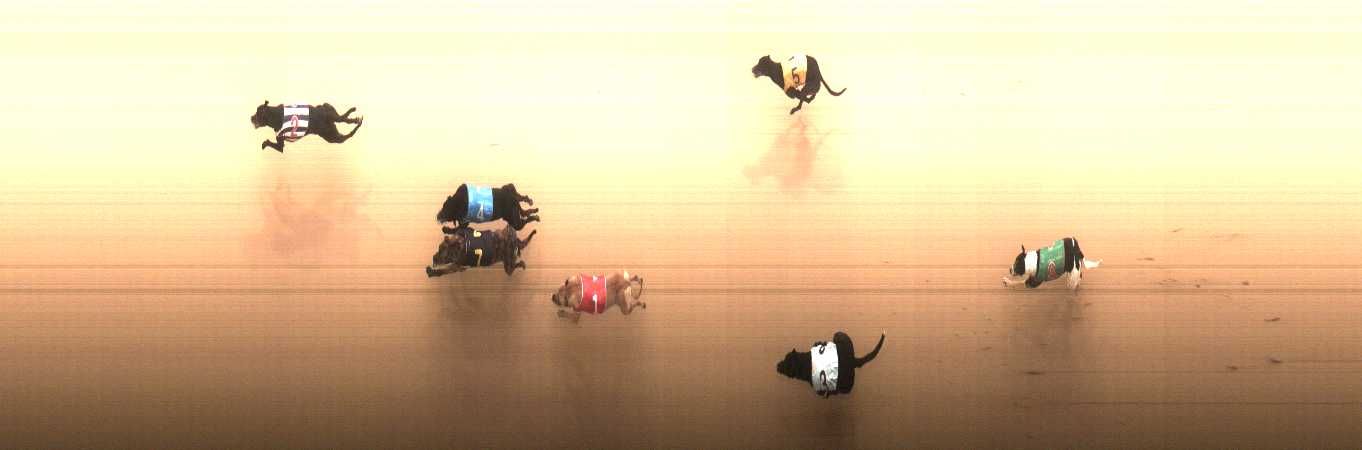 Photo finish for Cranbourne Race 4