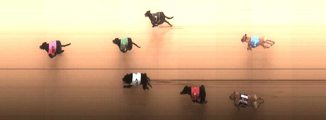 Photo finish for Cranbourne Race 10