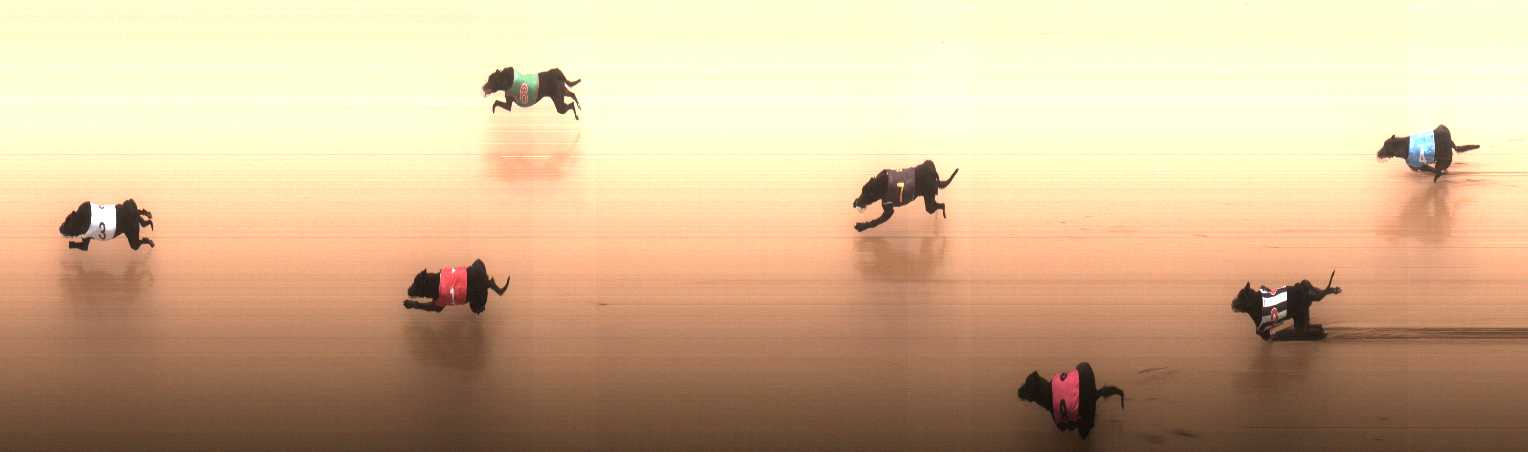 Photo finish for Cranbourne Race 11