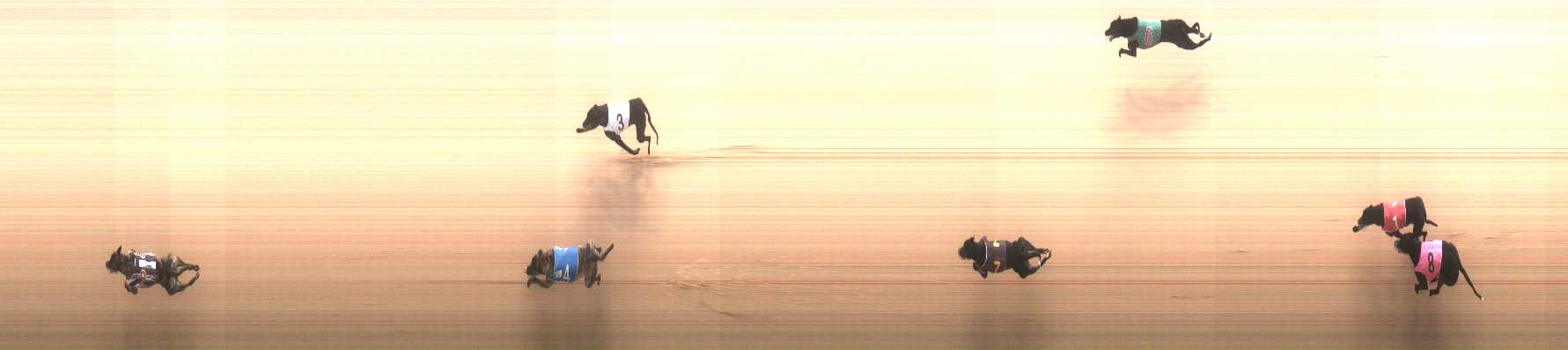 Photo finish for Cranbourne Race 1
