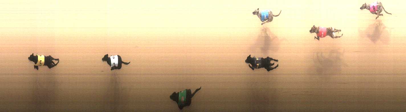 Photo finish for Cranbourne Race 3