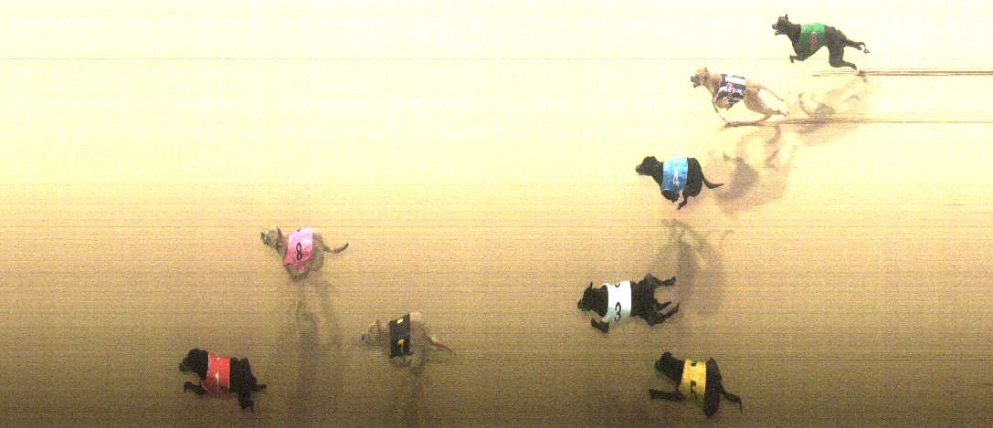 Photo finish for Cranbourne Race 4