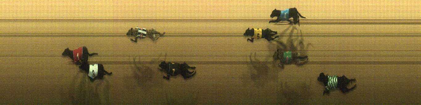 Photo finish for Cranbourne Race 6