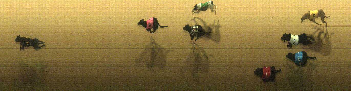 Photo finish for Cranbourne Race 7