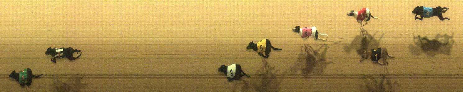 Photo finish for Cranbourne Race 8