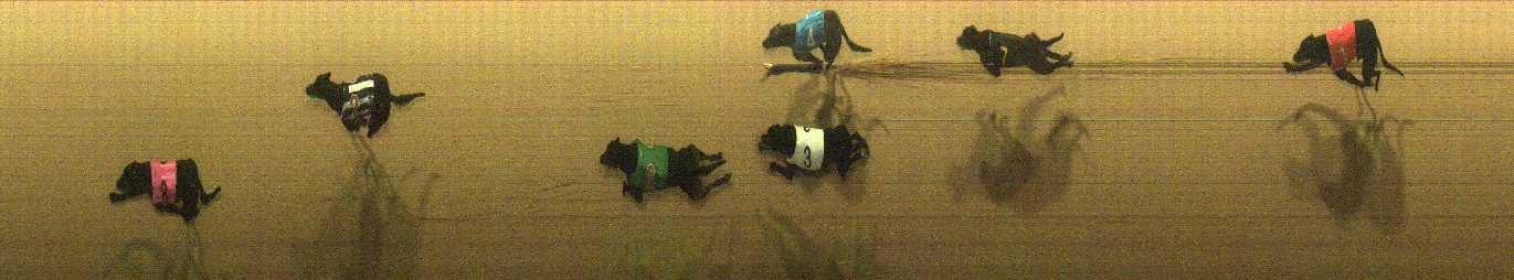 Photo finish for Cranbourne Race 10