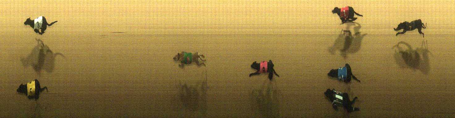 Photo finish for Cranbourne Race 11