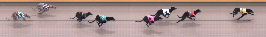 Photo finish for Geelong Race 2