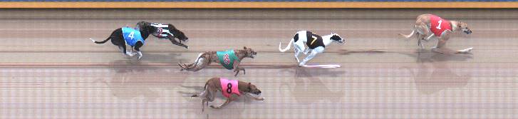 Photo finish for Geelong Race 3