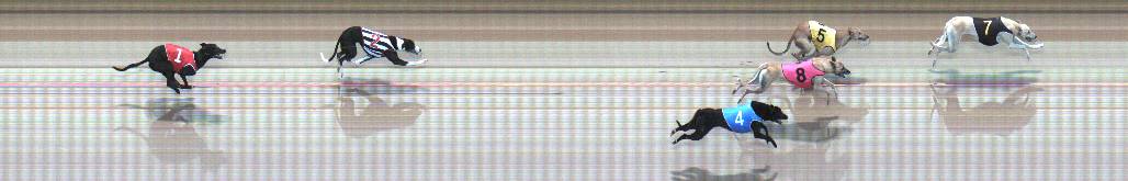Photo finish for Geelong Race 4